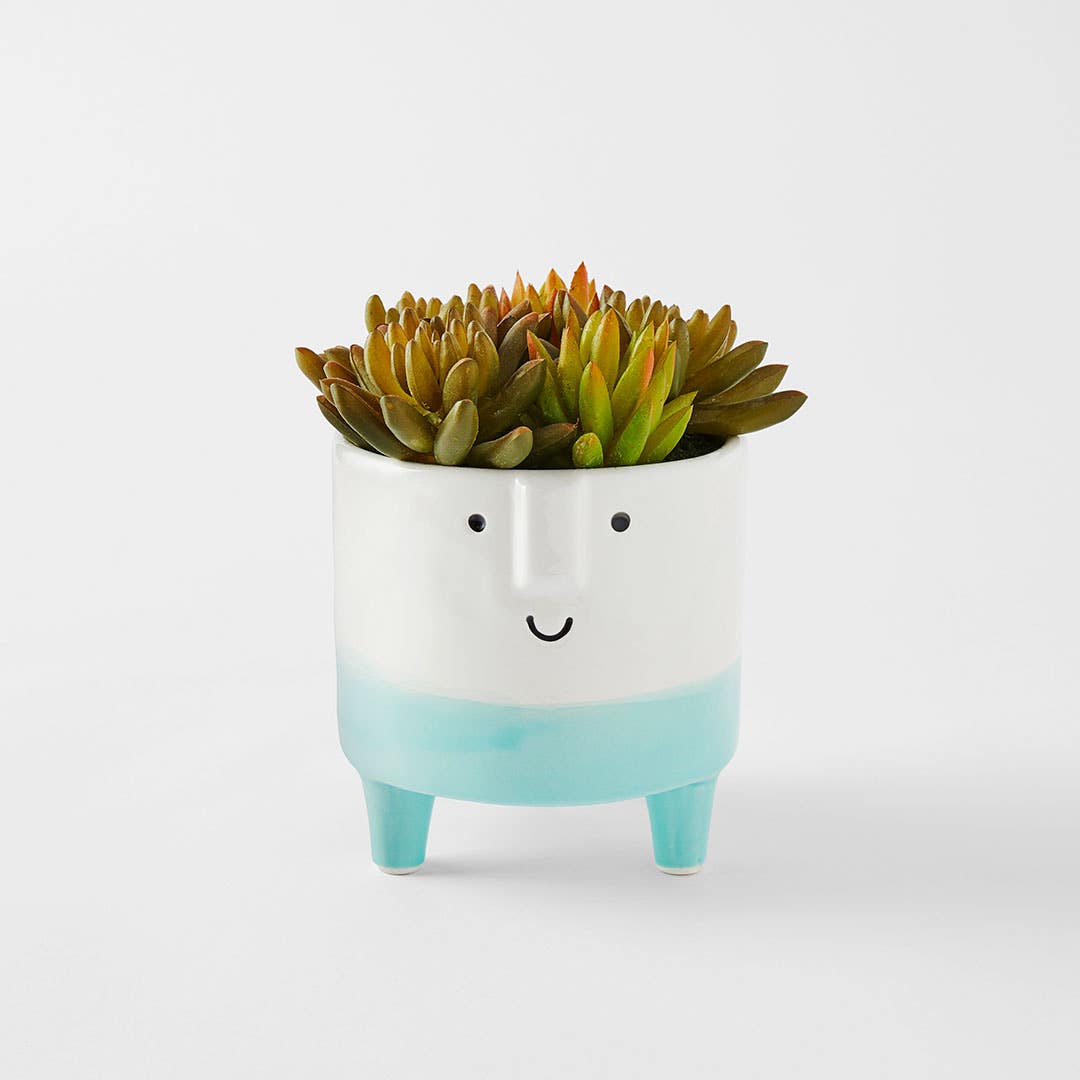 Happy Face Planter